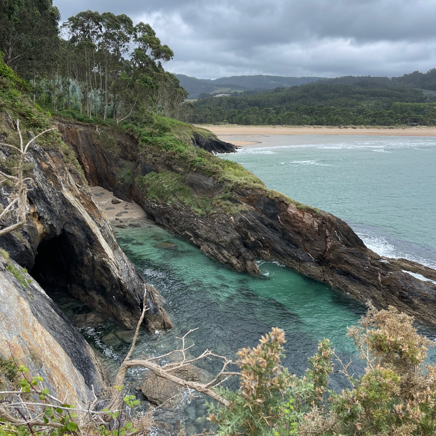 Os cantos do vagalume