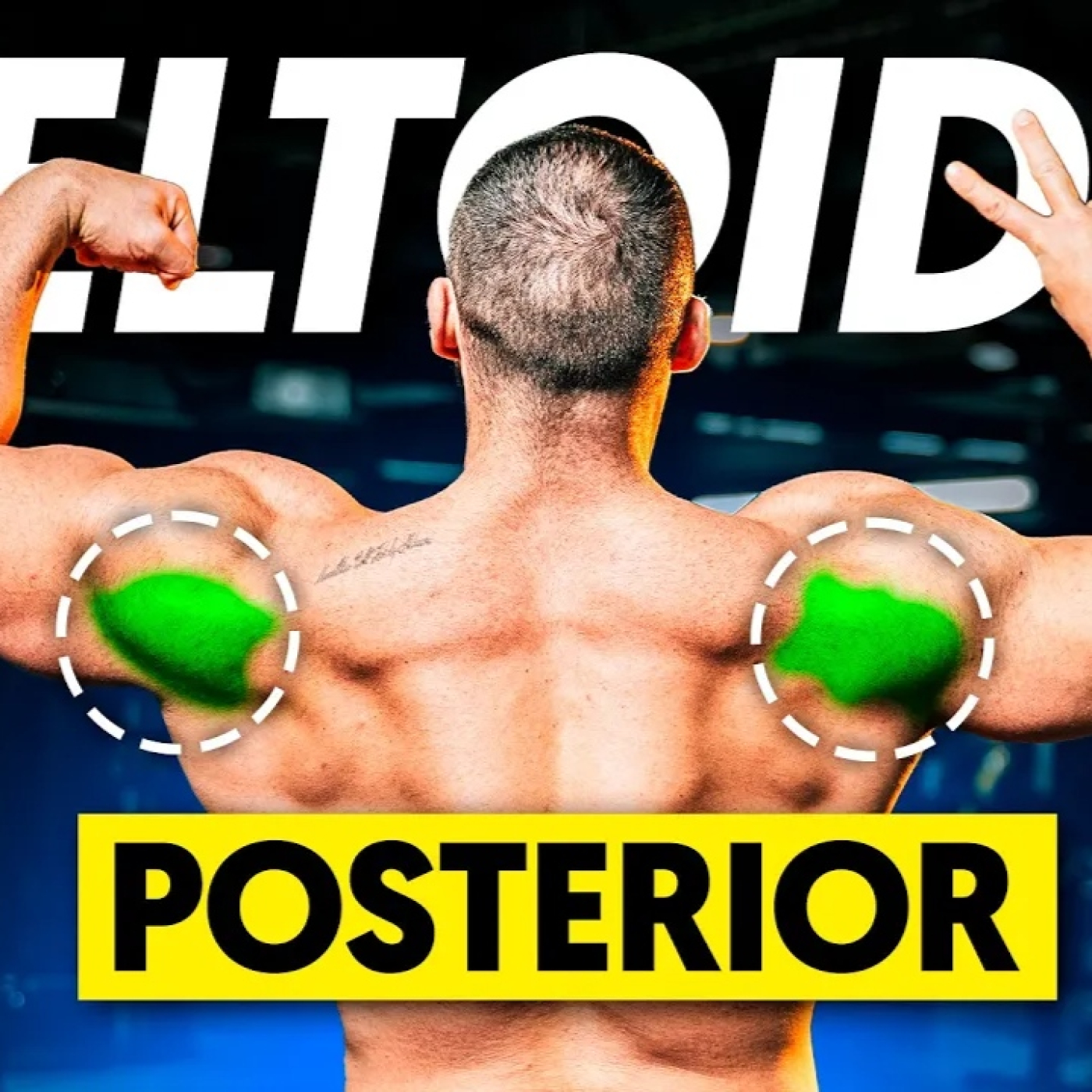Fit Generation