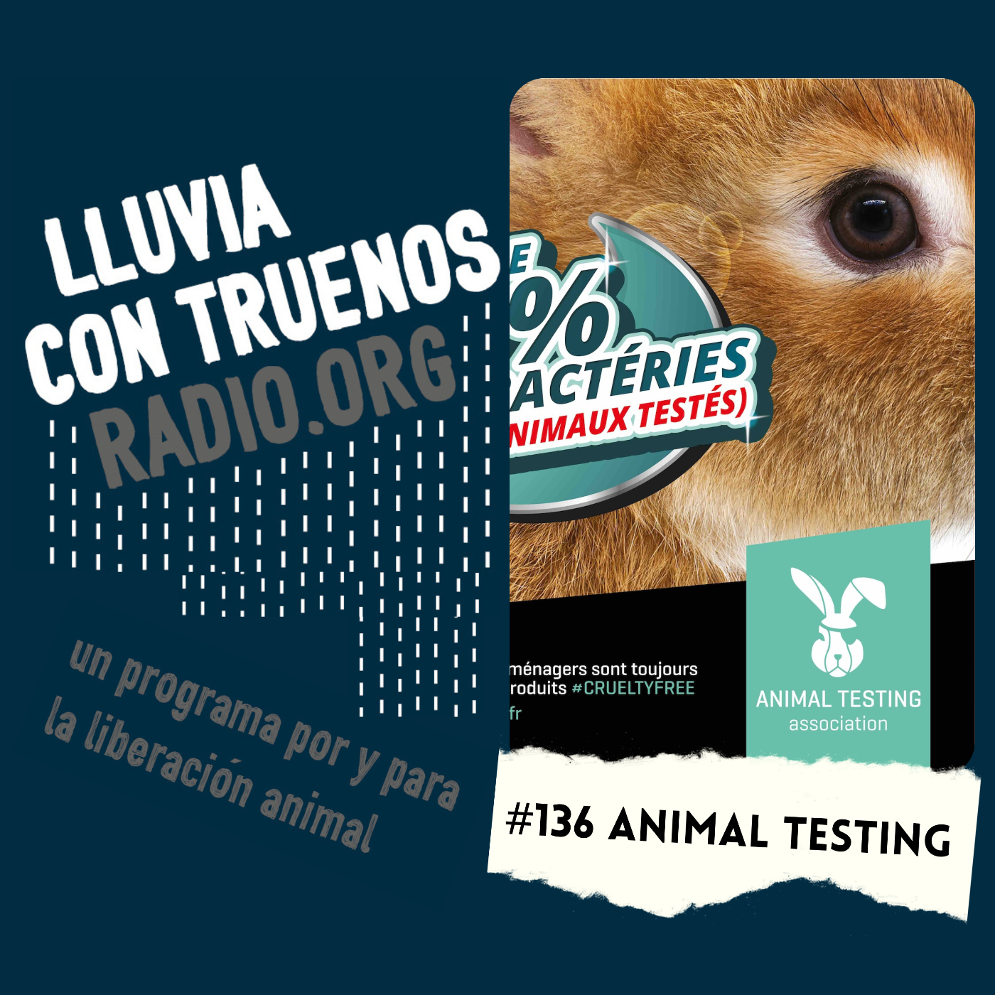 Lluvia con truenos radio
