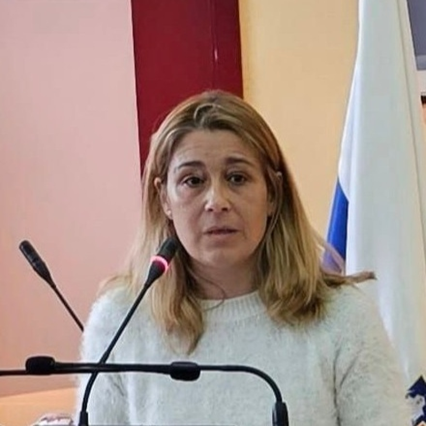 Entrevista a Aranzazu Povedano, alcaldesa de San Martin de Valdeiglesias. episode artwork