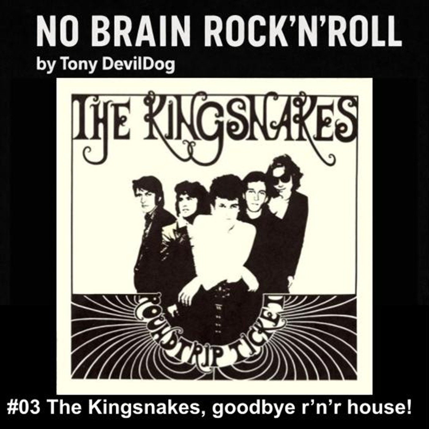 No Brain Rock'n'roll - #03 The Kingsnakes, goodbye rnr house! episode artwork