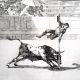 embed image