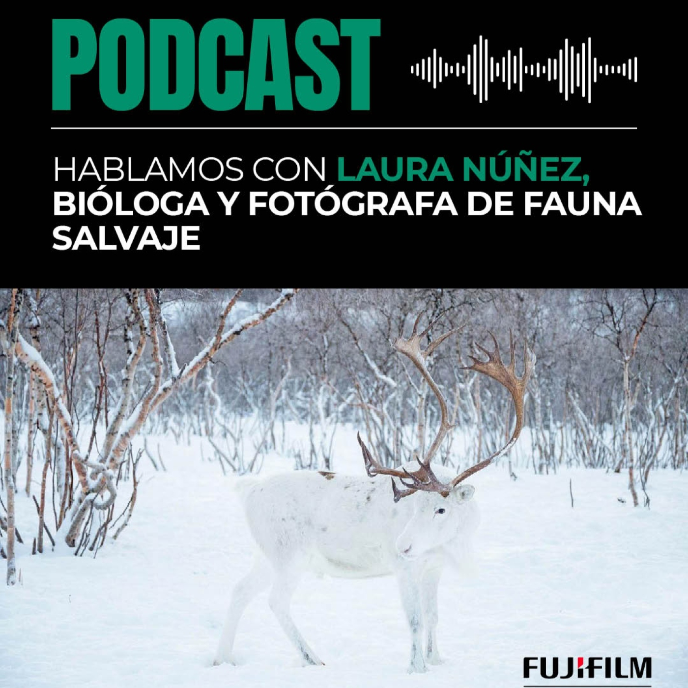 Podcast Oficial de Fujifilm España