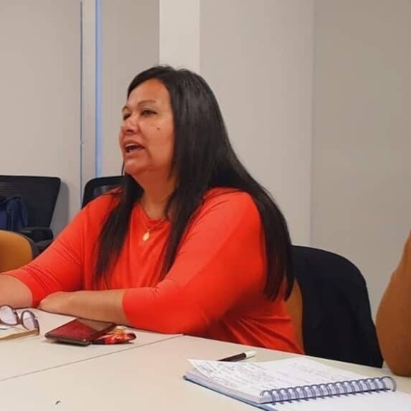 Stella Maurig (Presidenta y fundadora de La Madre Marcha) Nada Personal @animessina