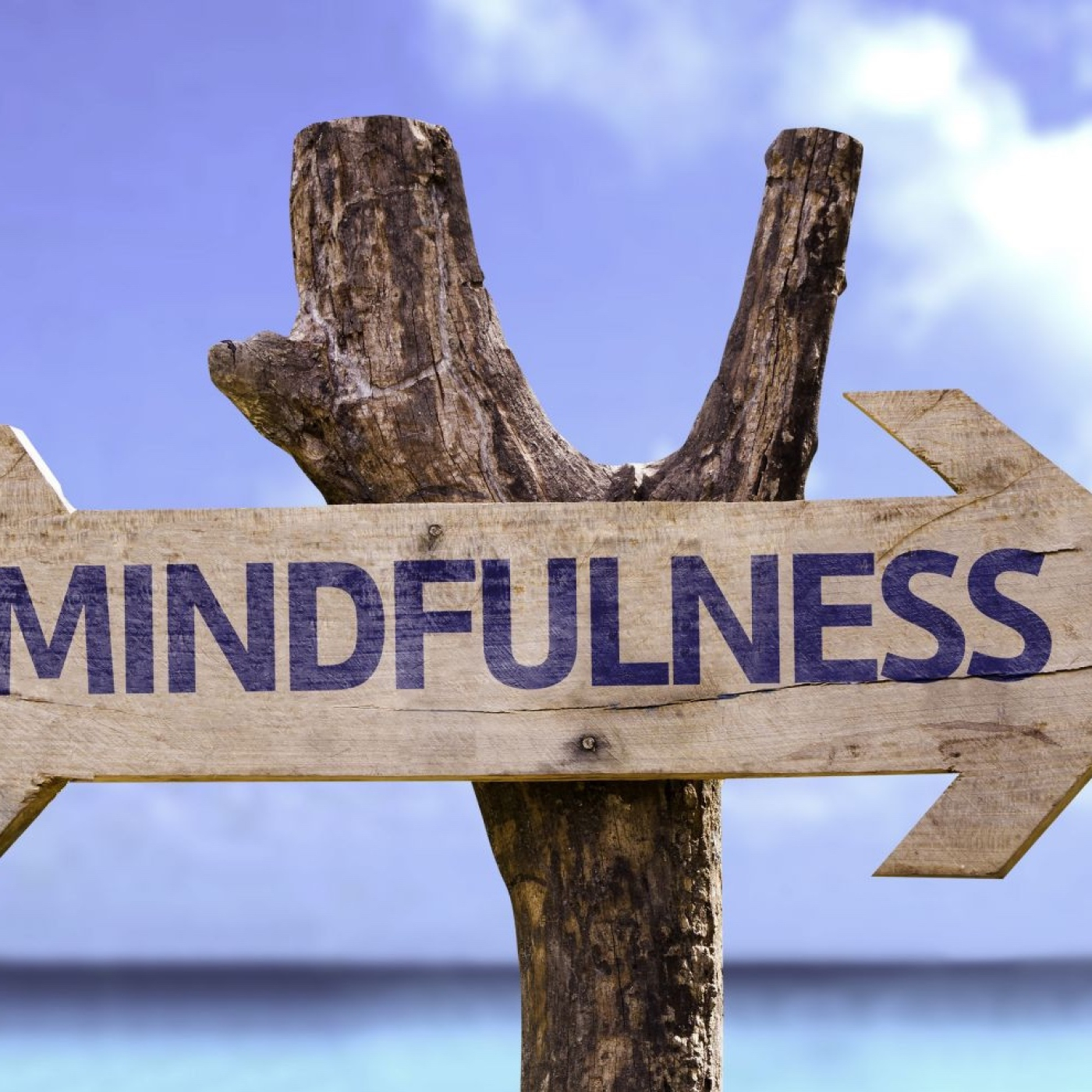 Mindfullness. ¡ PELIGROSO! ¿ Es un fraude?
