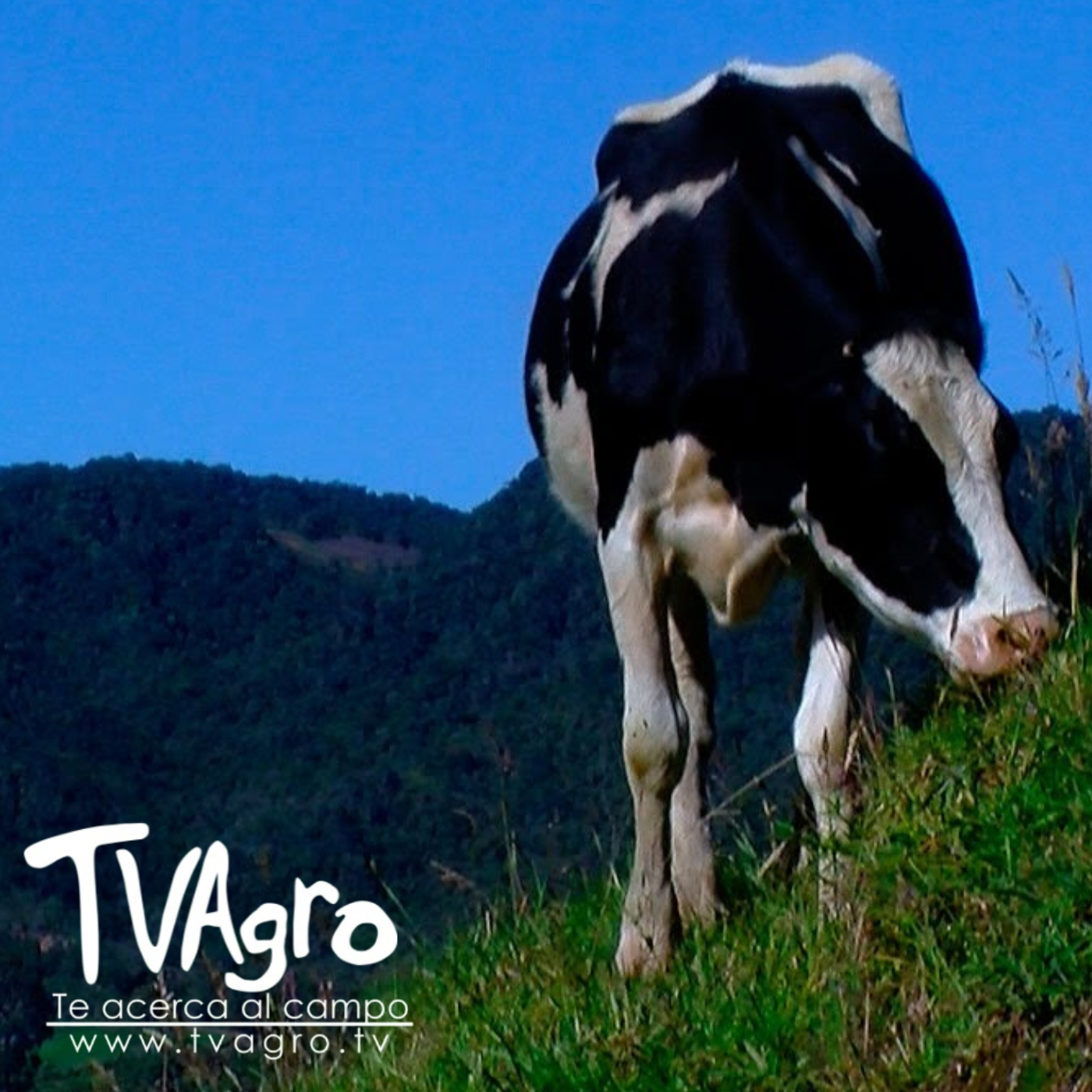 TV AGRO
