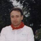 embed image