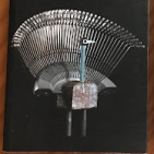 embed image