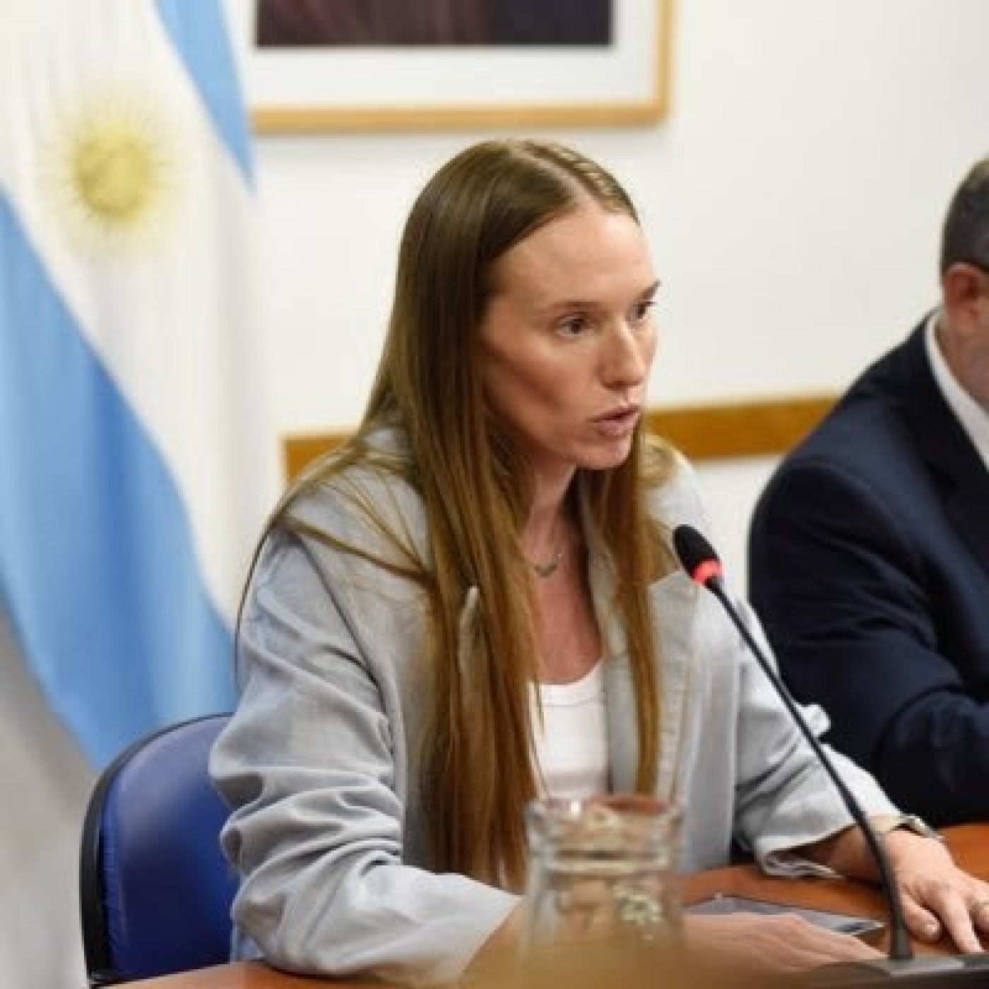 Florencia De Sensi, Diputada Nacional del PRO @desensiflor @rosca_casta 20-8-2024