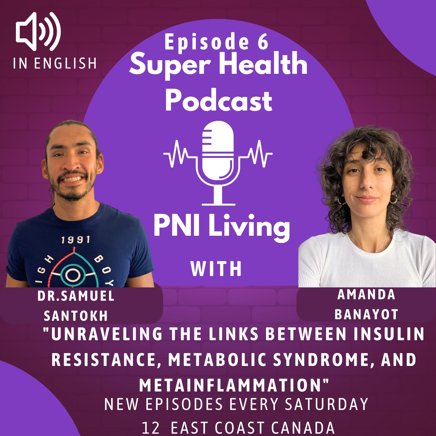 Unraveling the links between INSULINE RESISTENCE, Metabolic Syndrome, and Metainflammation