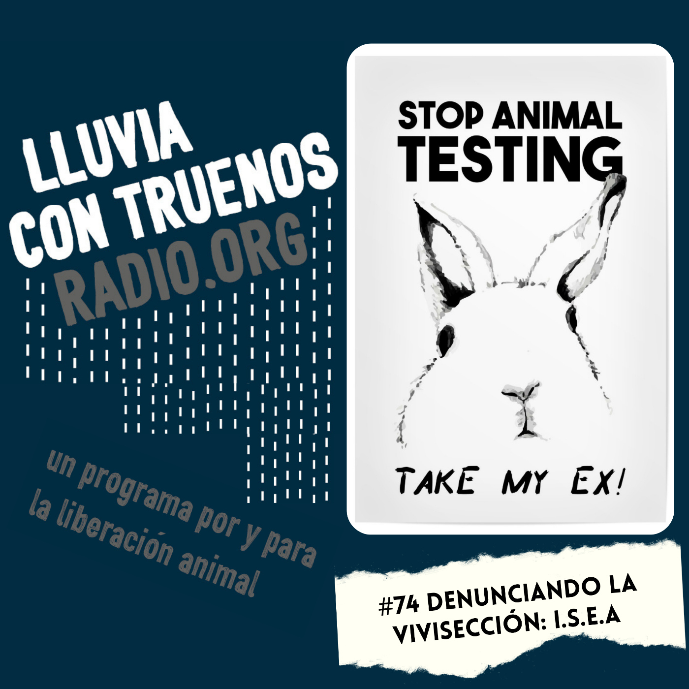 #74 Denunciando la vivisección: I.S.E.A