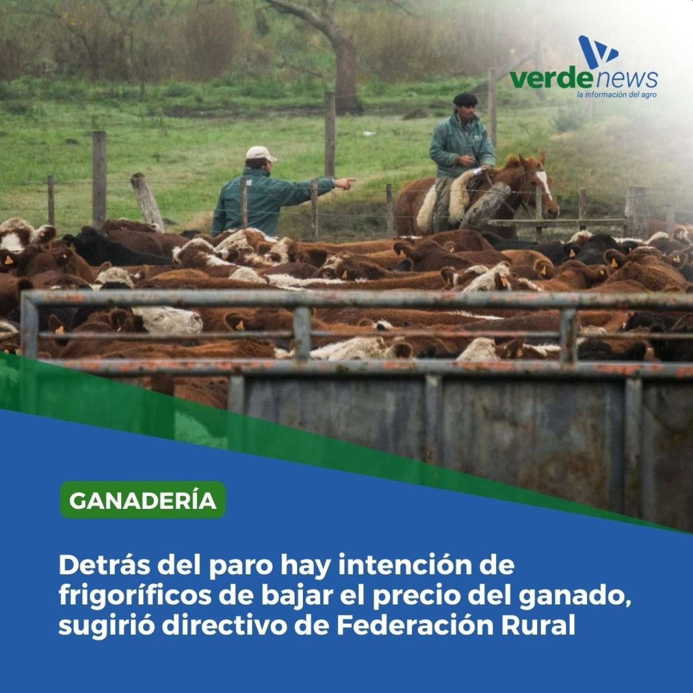 Emilio Mangarelli - vicepresidente de la Federación Rural - 02/09/24 episode artwork