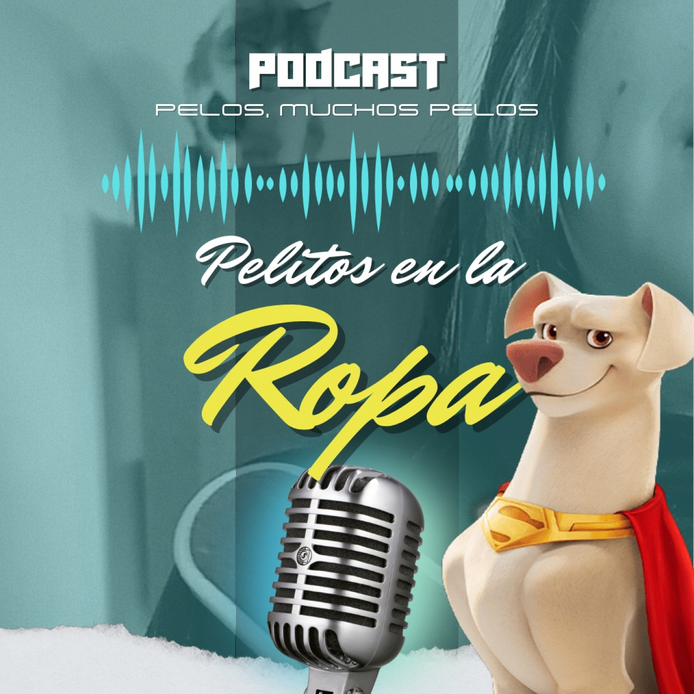 PELR: Pelitos en la Ropa