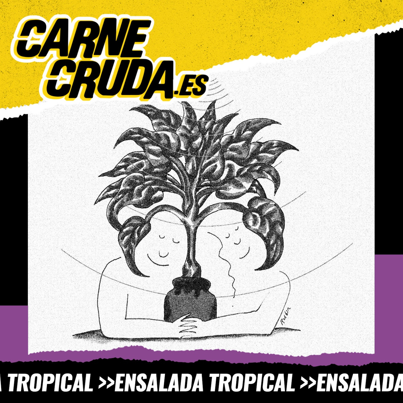 Carne Cruda - PROGRAMAS