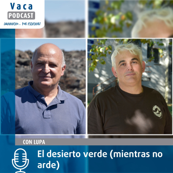 Con lupa: El desierto verde (mientras no arde)