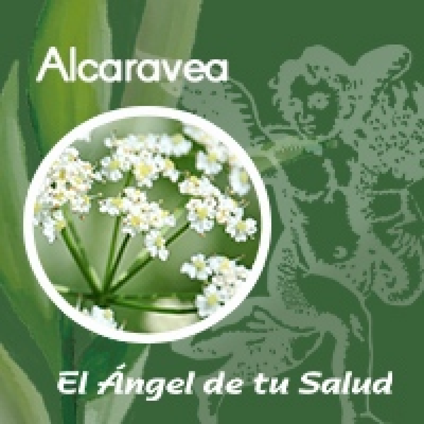 El Ángel de tu Salud - Alcaravea**