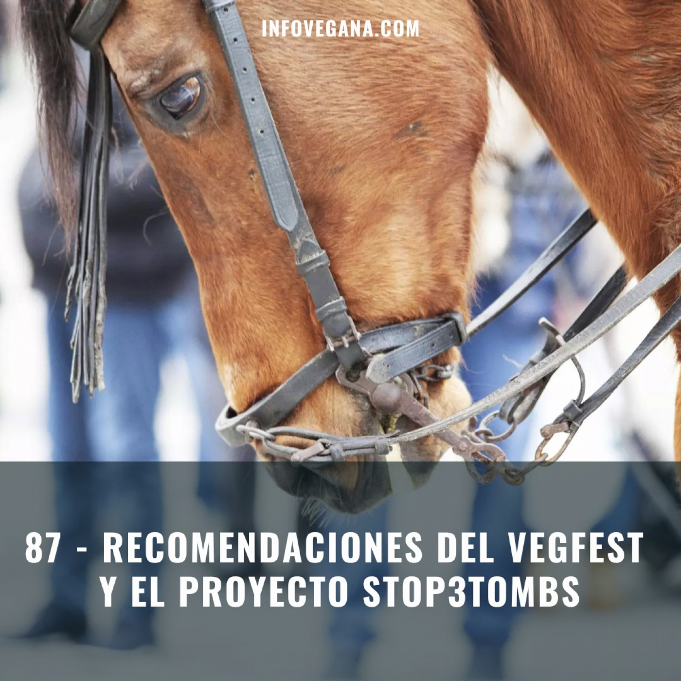 Infovegana, podcast de veganismo y sostenibilidad