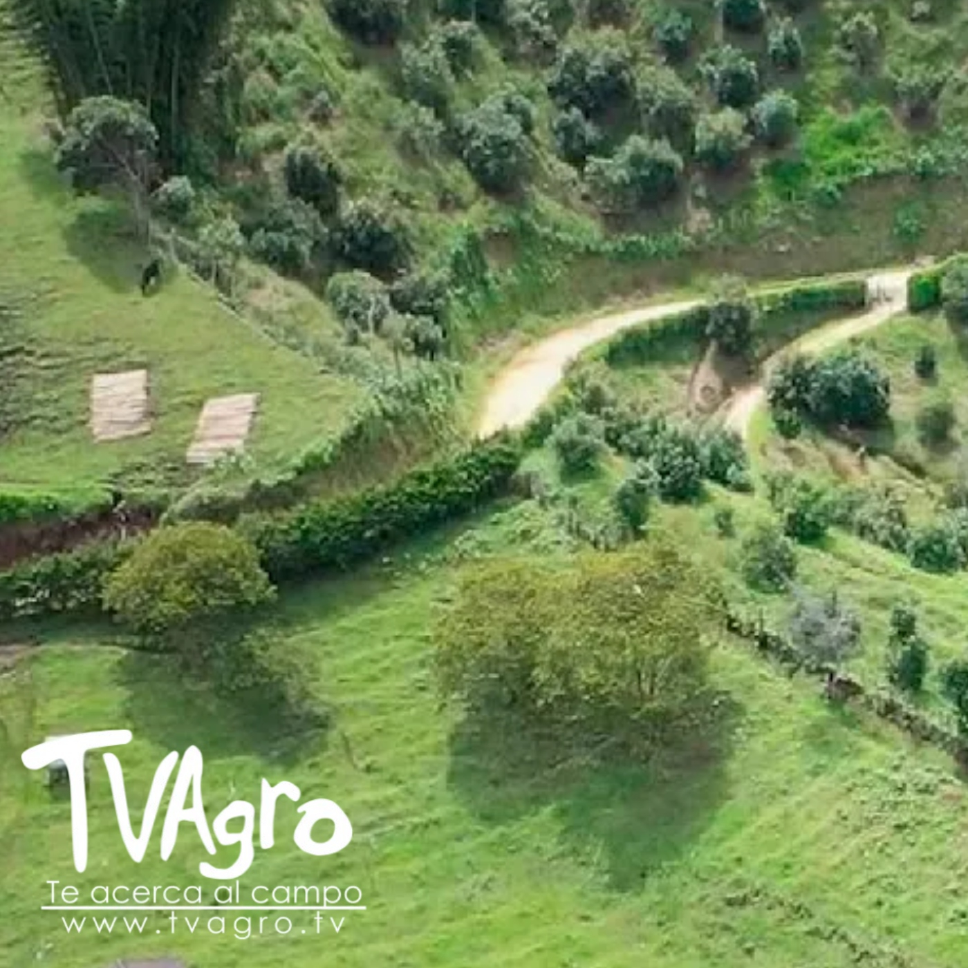 TV AGRO