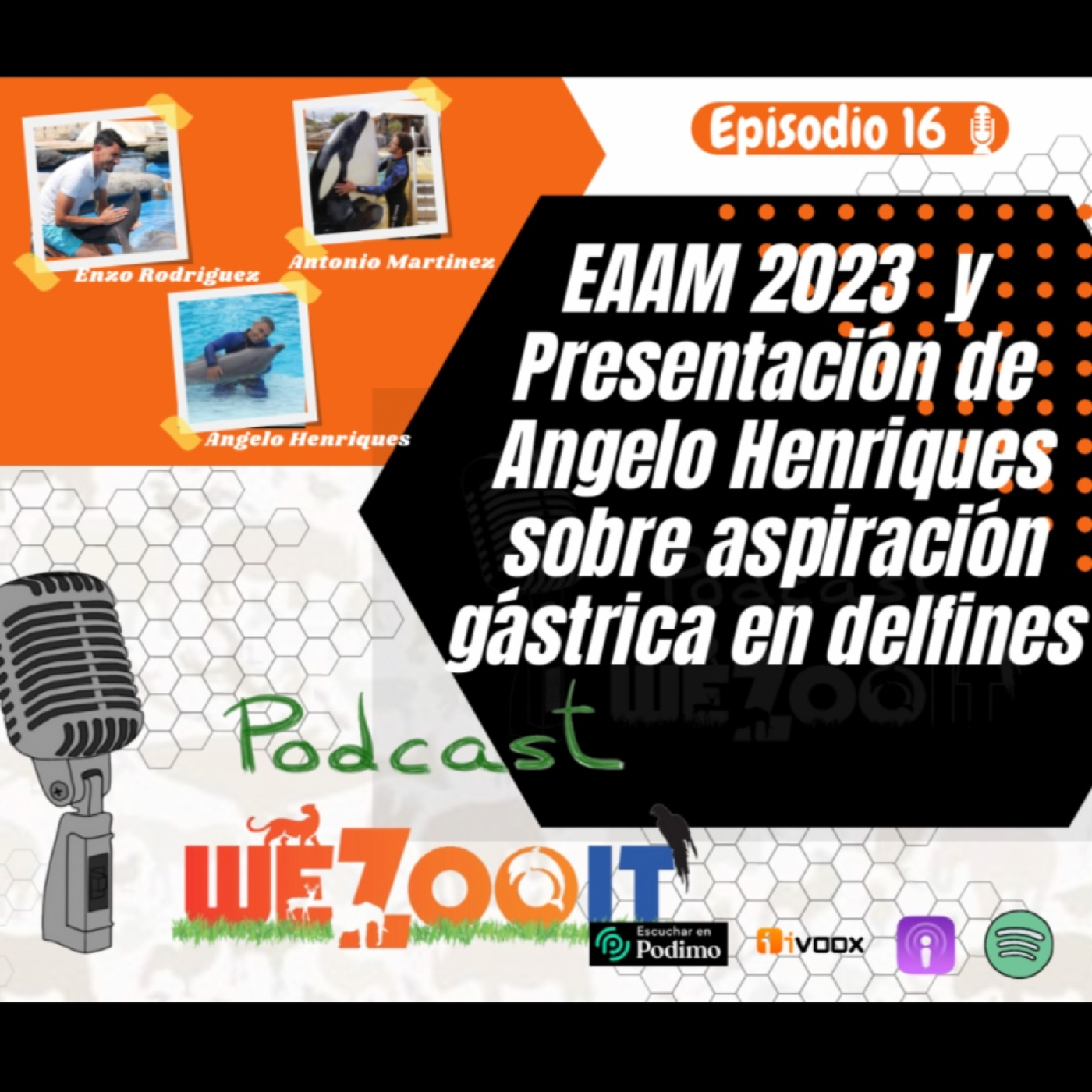 WeZooit Podcast