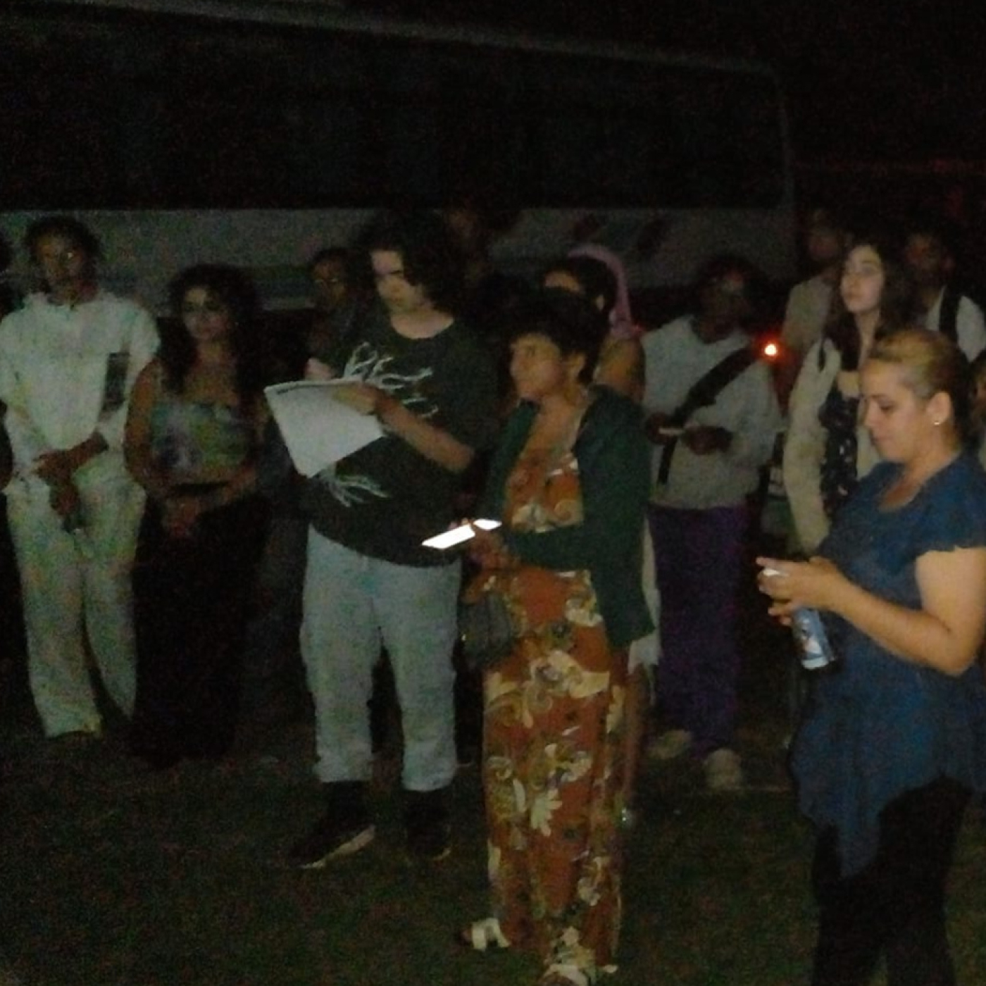 Estudiantes de Montreal intercambian con cederistas en Viñales