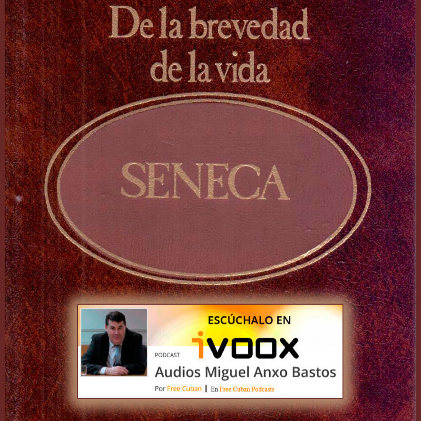 AudioLibros Liberales. Sobre la brevedad de la vida | Séneca - Episodio exclusivo para mecenas