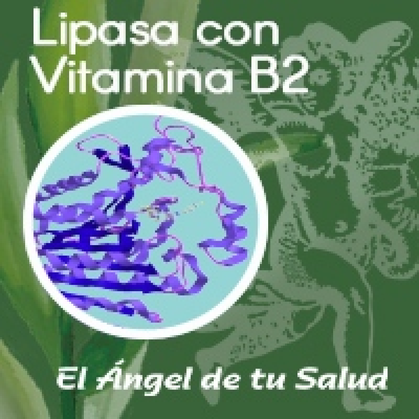El Ángel de tu Salud - Lipasa con Vitamina B2** episode artwork