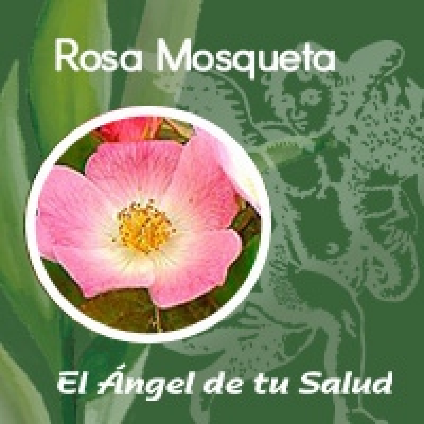 El Ángel de tu Salud - Rosa Mosqueta ** episode artwork
