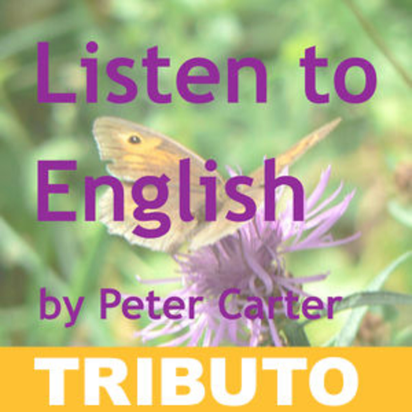 TRIBUTO A PETER CARTER