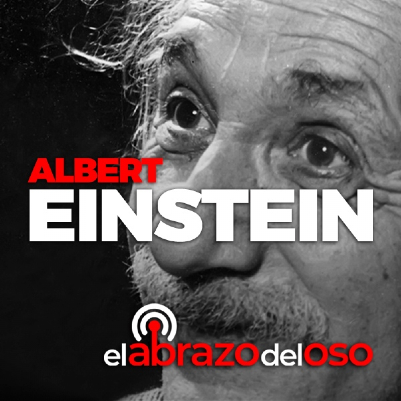 Albert Einstein - El Abrazo del Oso