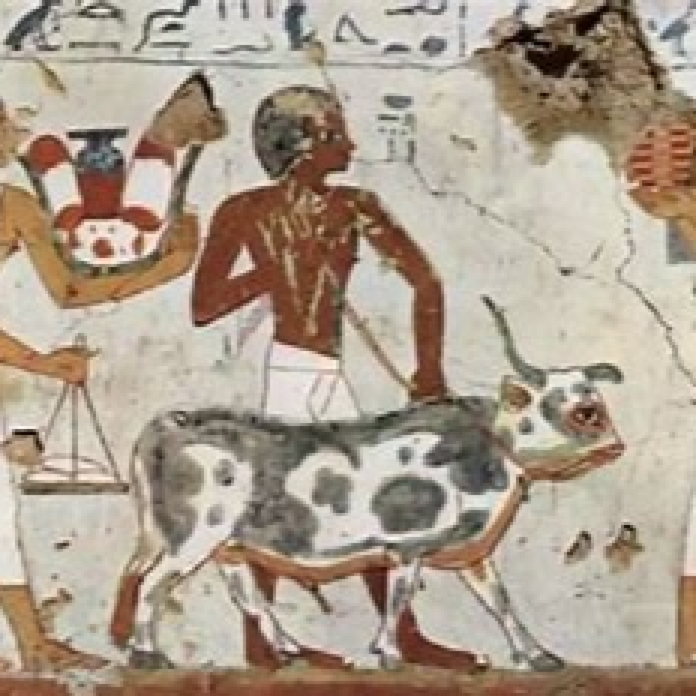 Podcast Mascotero - Mundo animal