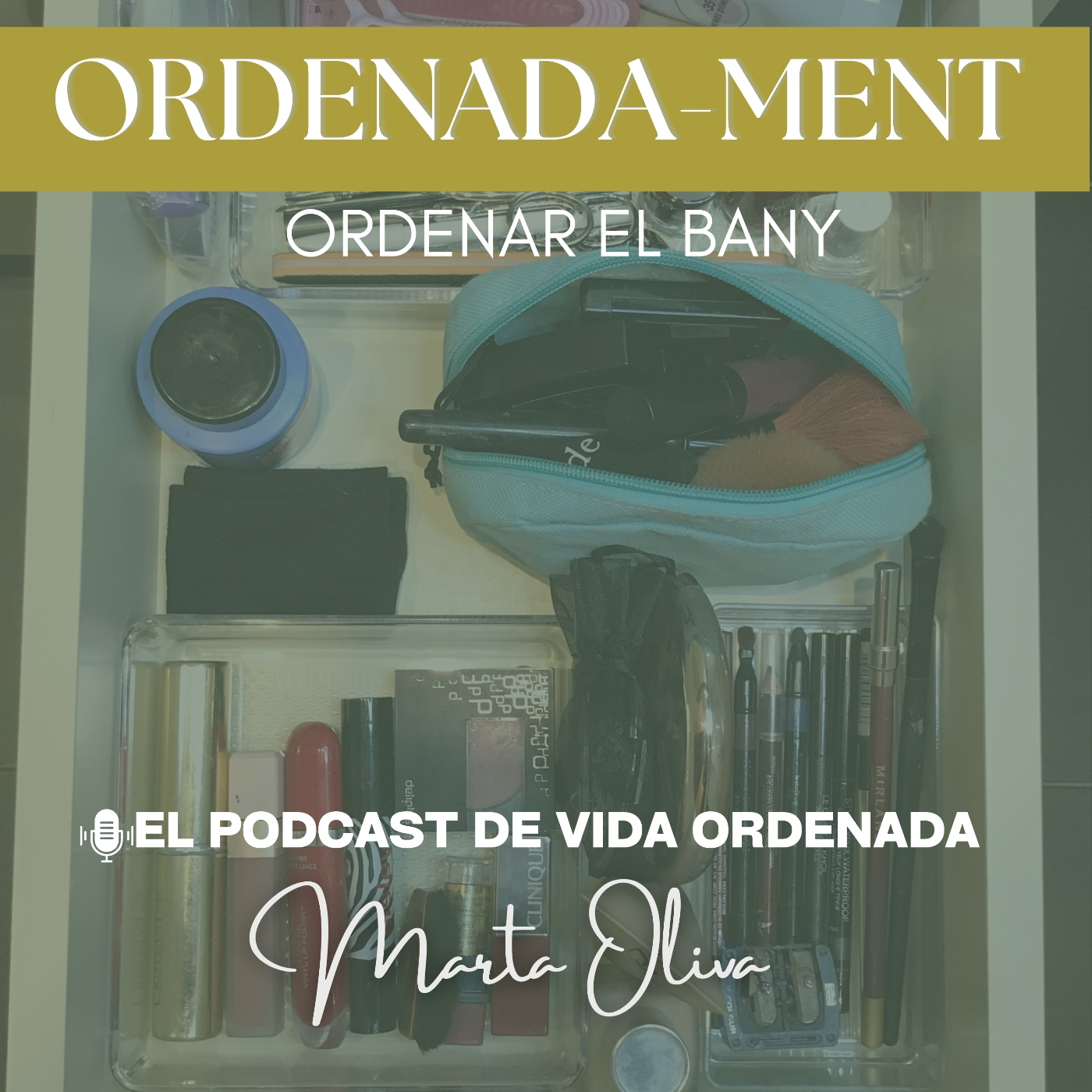 Ordenar el bany episode artwork
