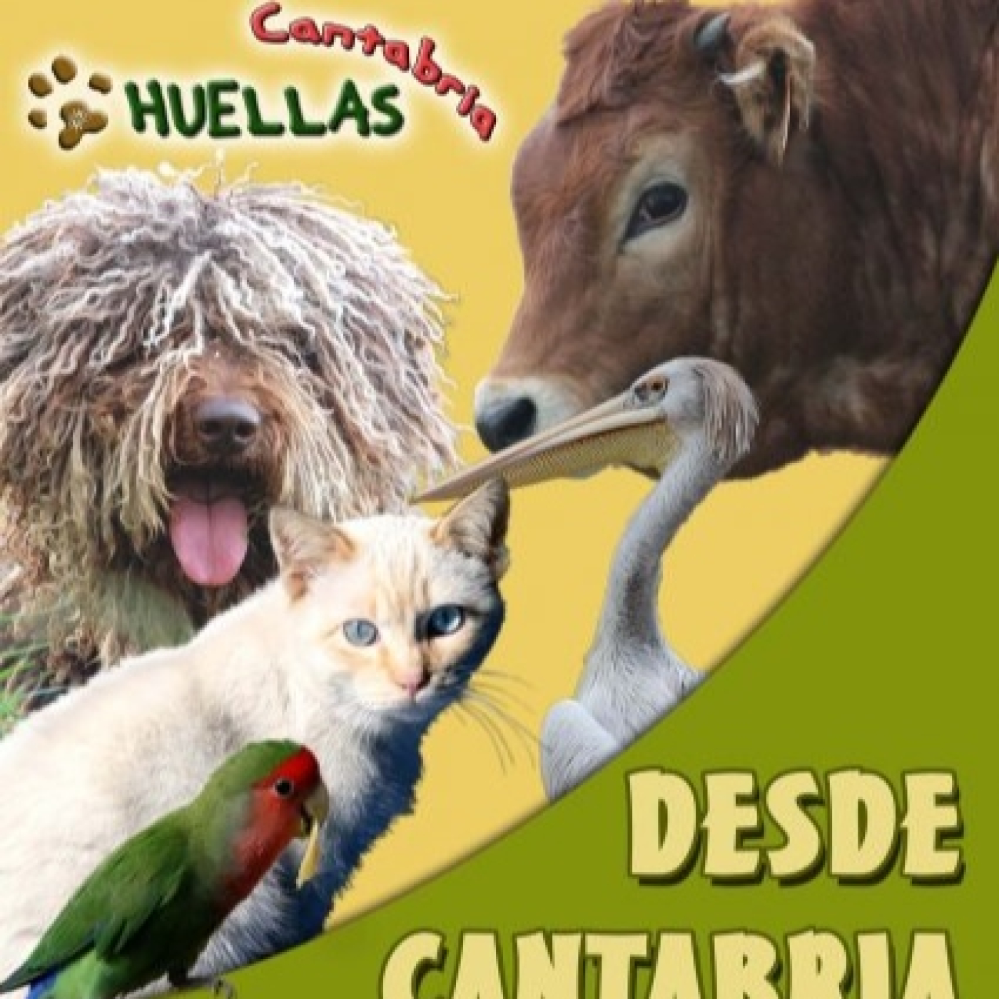 HUELLAS CANTABRIA - programa del a semana del Lunes 14 de octubre - entrevista Borja, Vicky y Ruben ilp no es mi cultura episode artwork