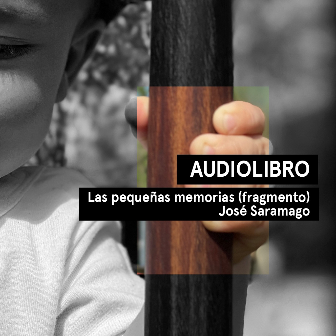 Audiolibros Por qué leer