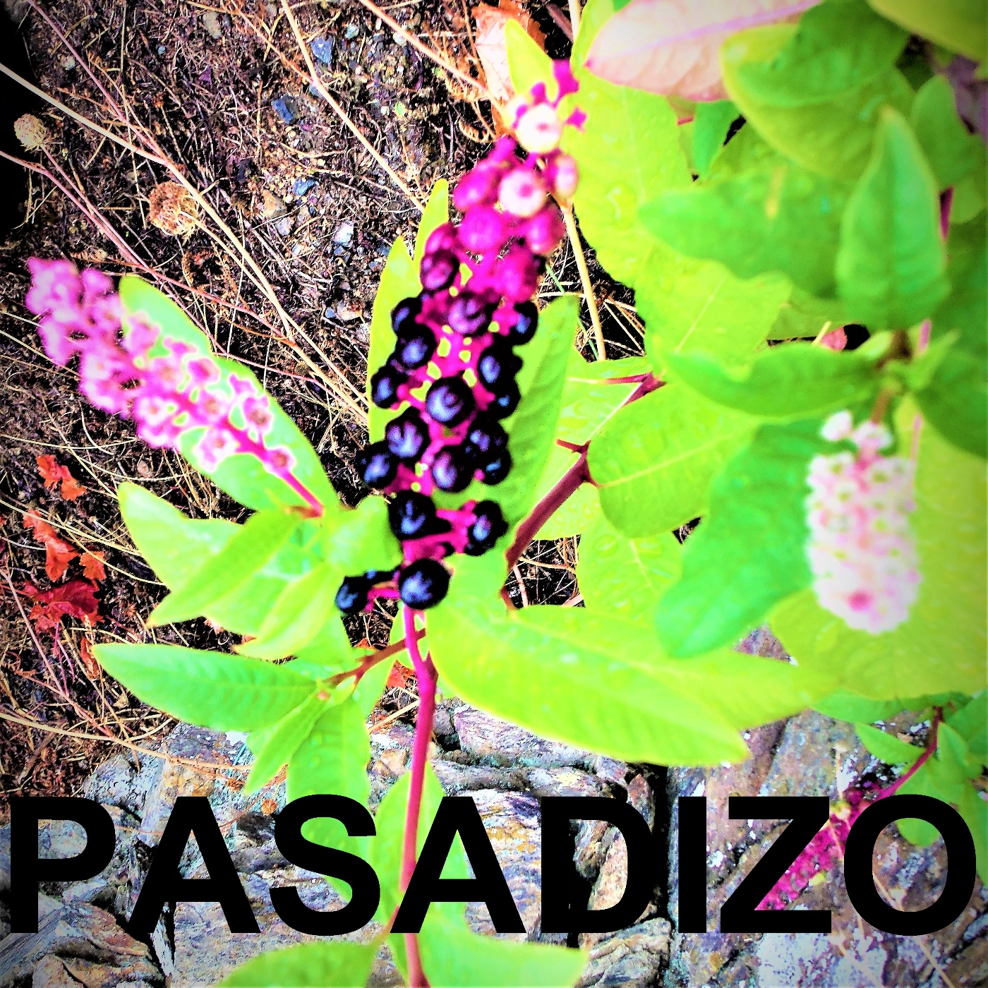 PASADIZO