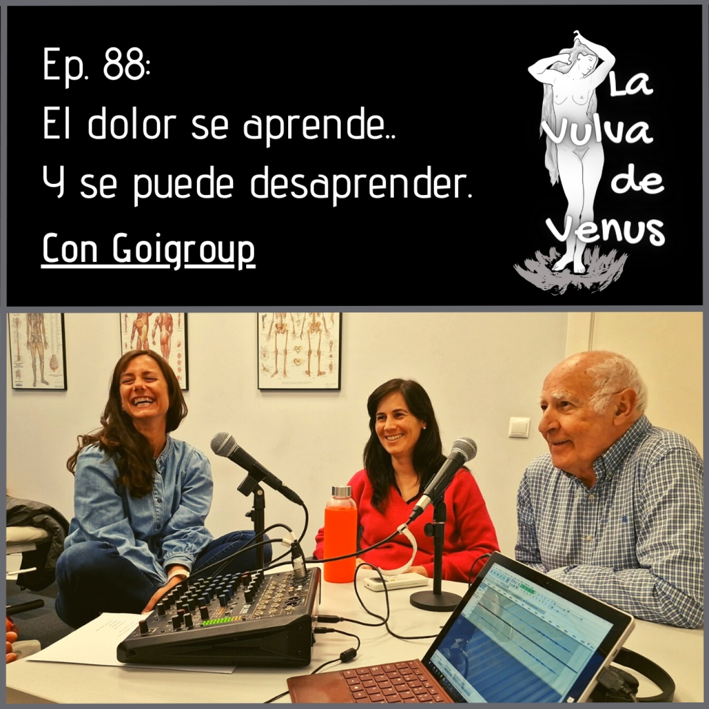 La Vulva de Venus
