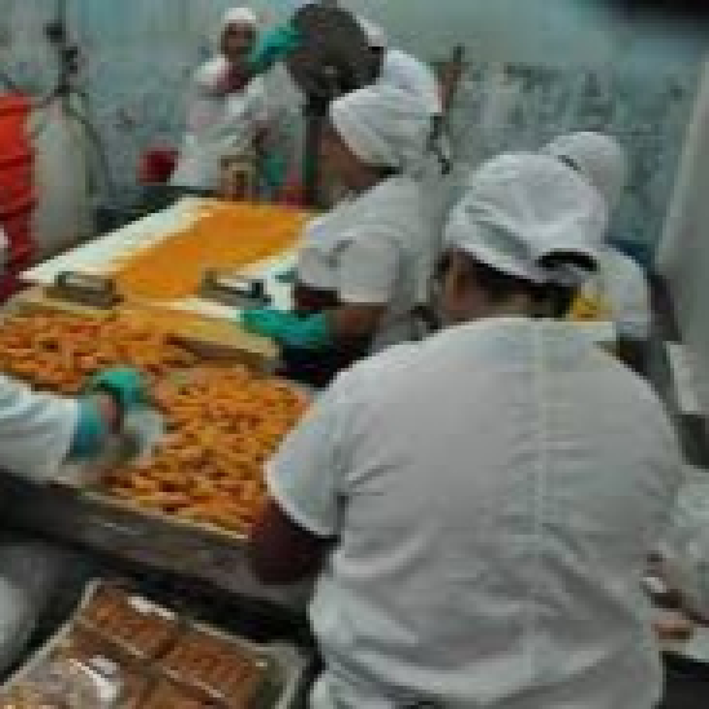 Apoya a la Revolución la Industria Alimentaria en Camagüey episode artwork