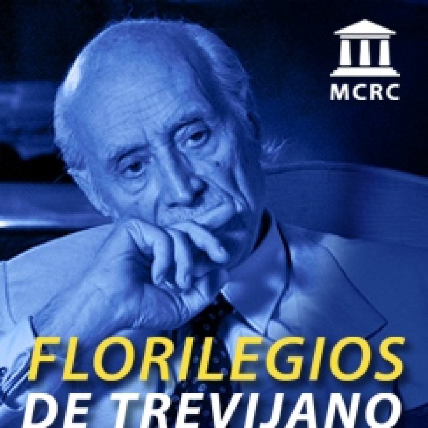 Radio Libertad Constituyente