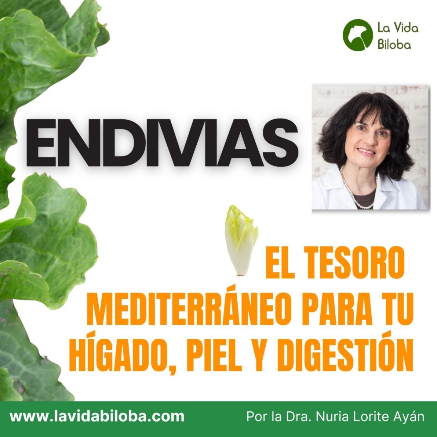 Endivias. Del Mediterráneo para tu hígado, piel, intestino y más ¡alimentos sanos y versátiles! episode artwork