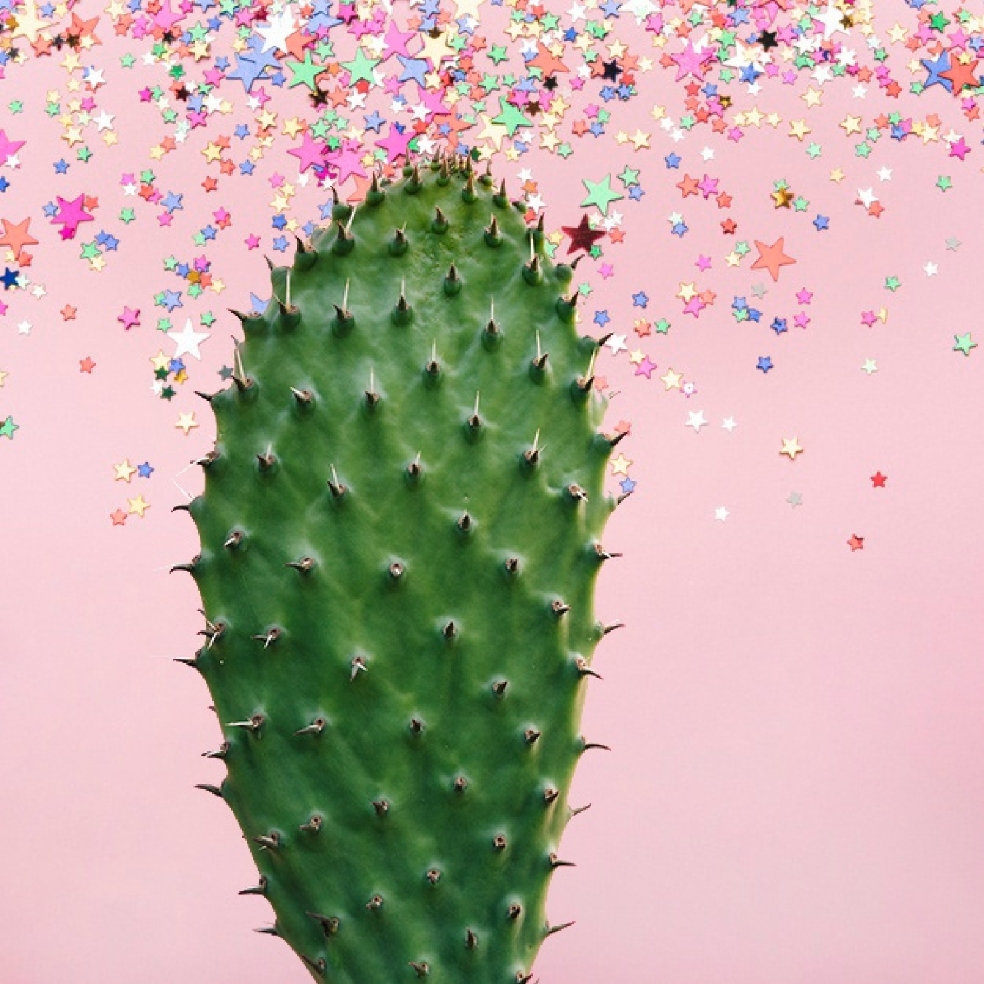 Cactus Confetti