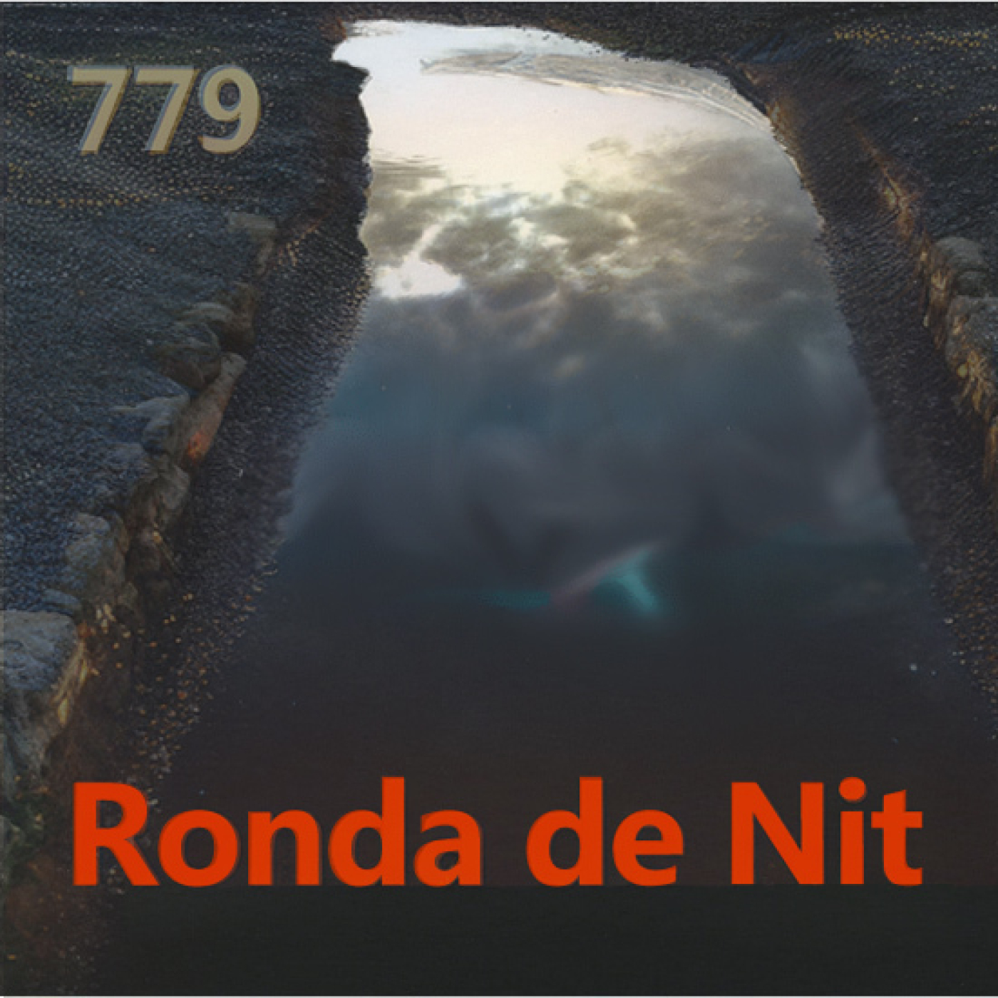 Ronda de Nit