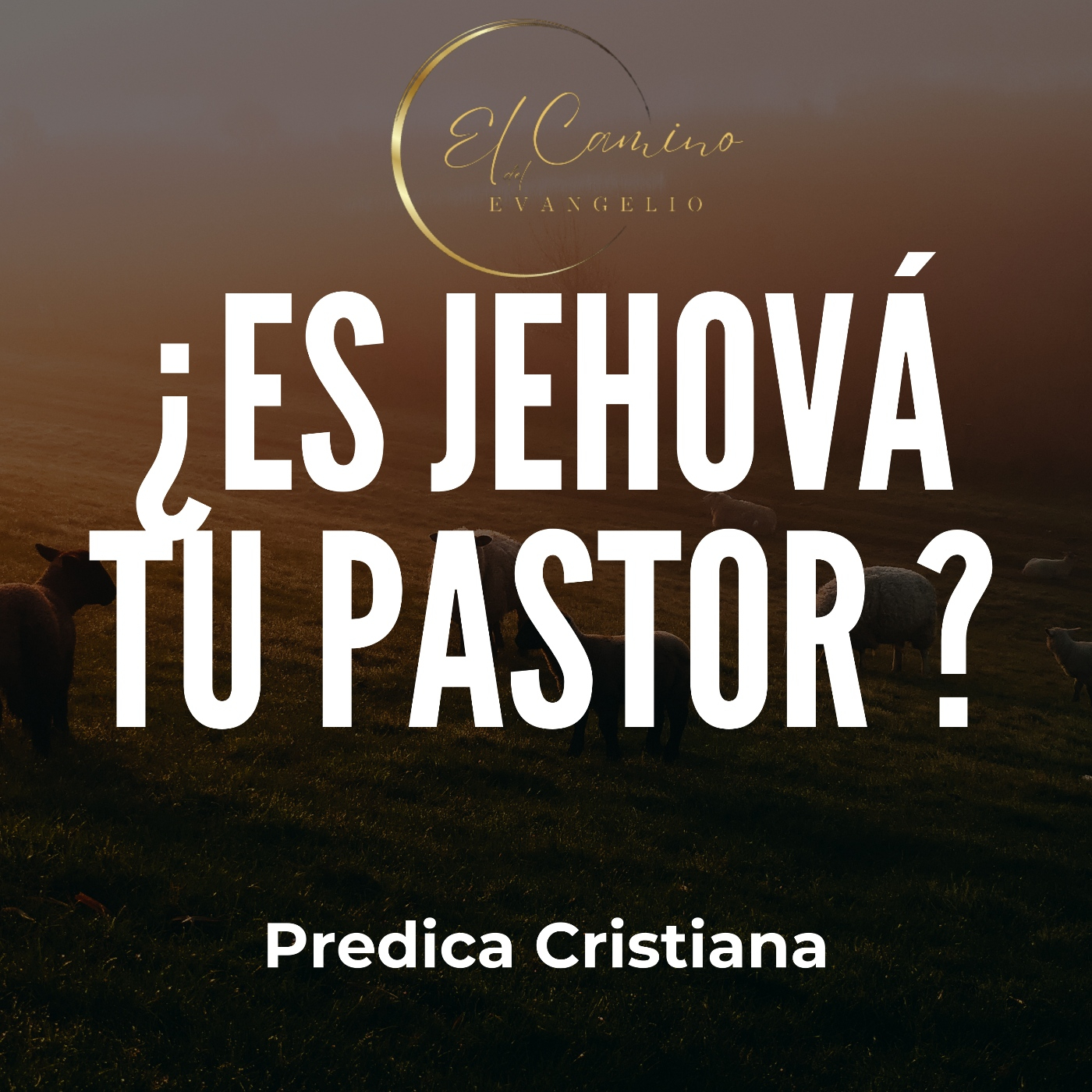 El Camino del Evangelio podcast