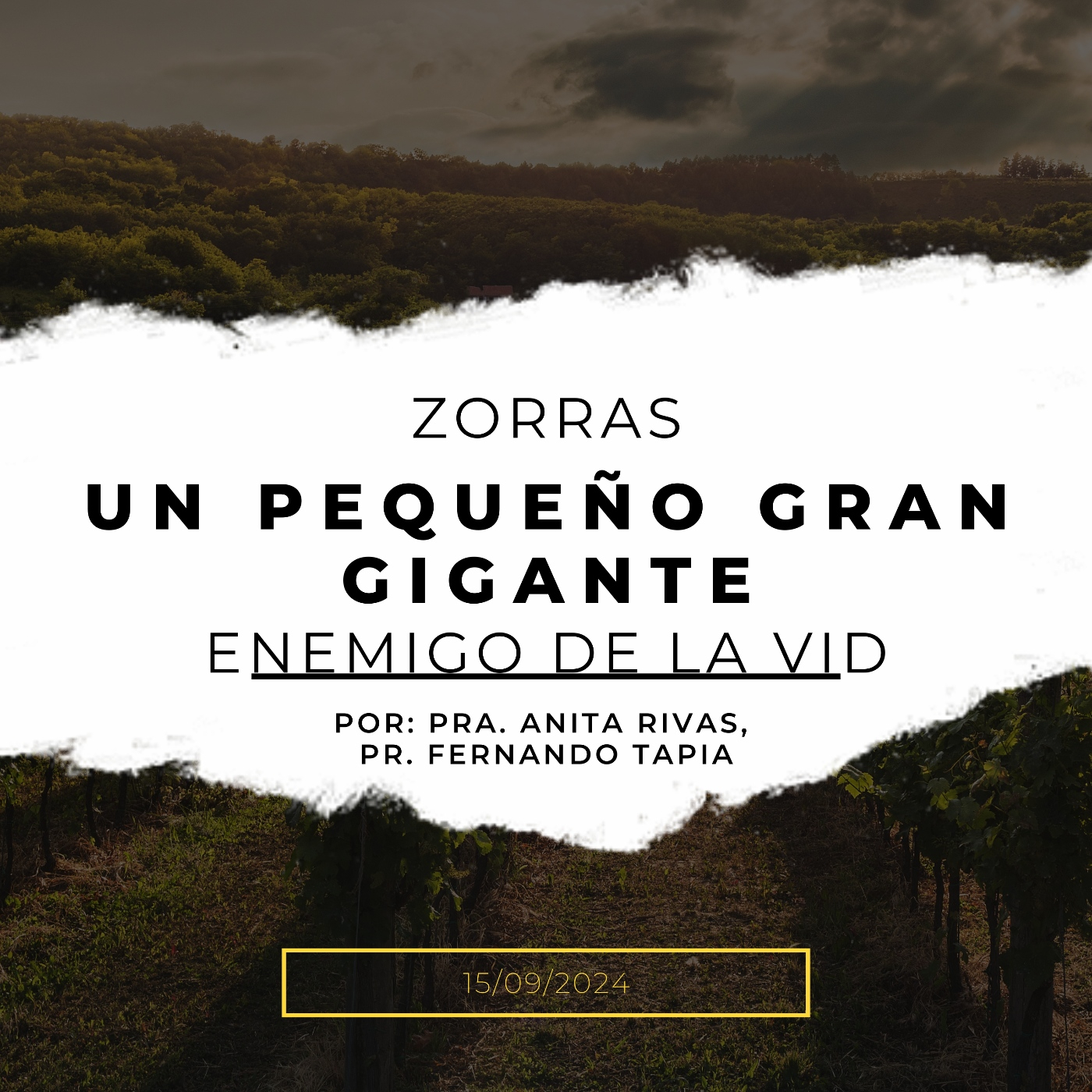 Prédica 15/09/2024: Zorras: un pequeño gran gigante, enemigo de la vid episode artwork