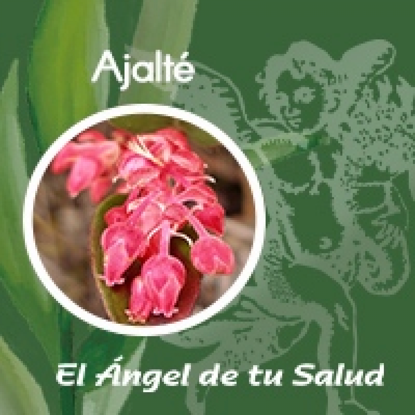 El Ángel de tu Salud - Ajalté** episode artwork
