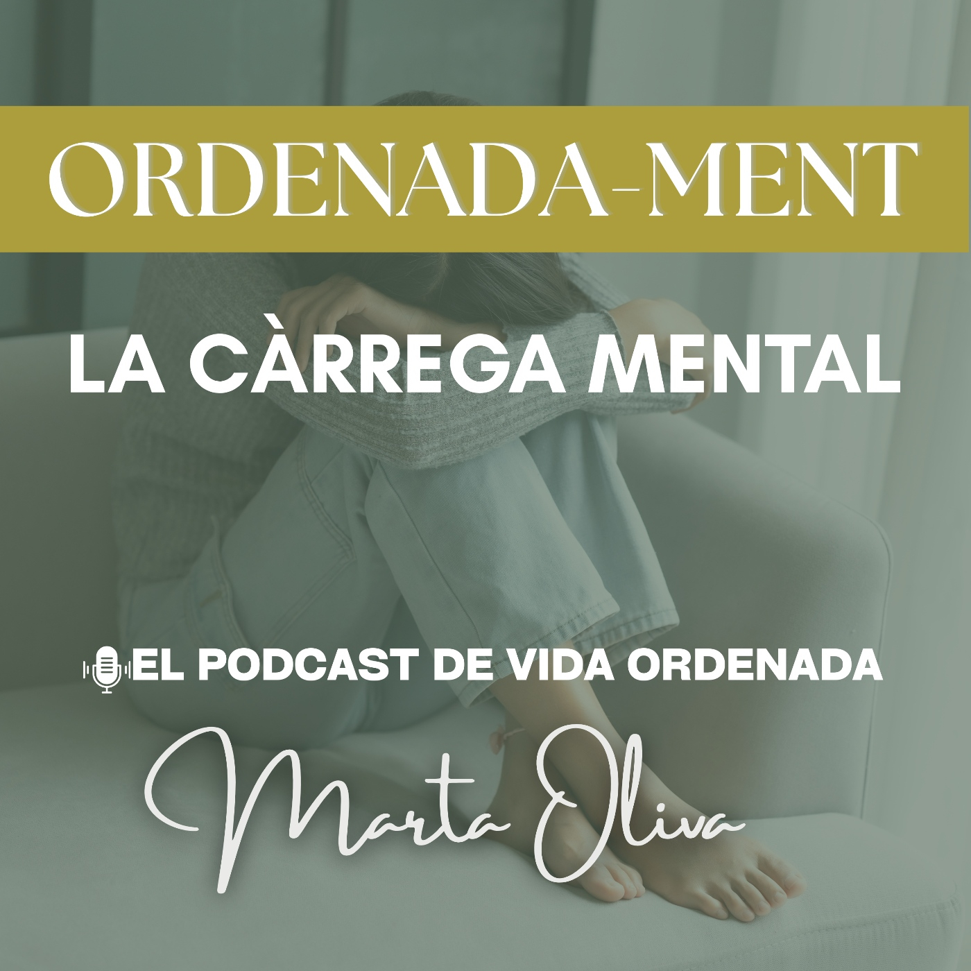 La càrrega mental episode artwork