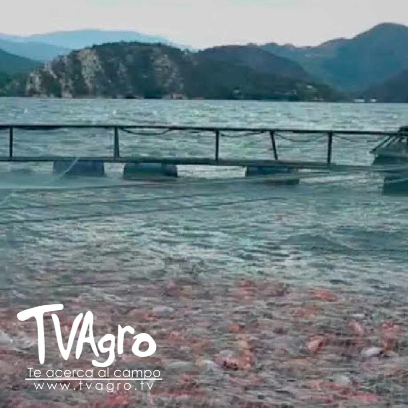 TV AGRO