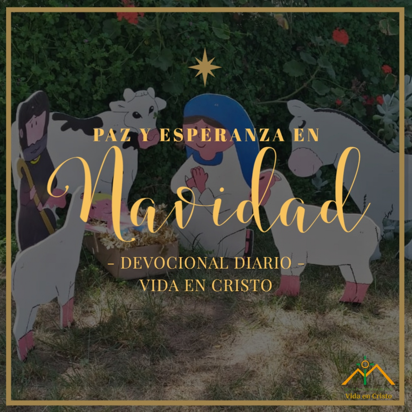 Fe y Esperanza en Navidad #1: Un Salvador para el mundo. episode artwork
