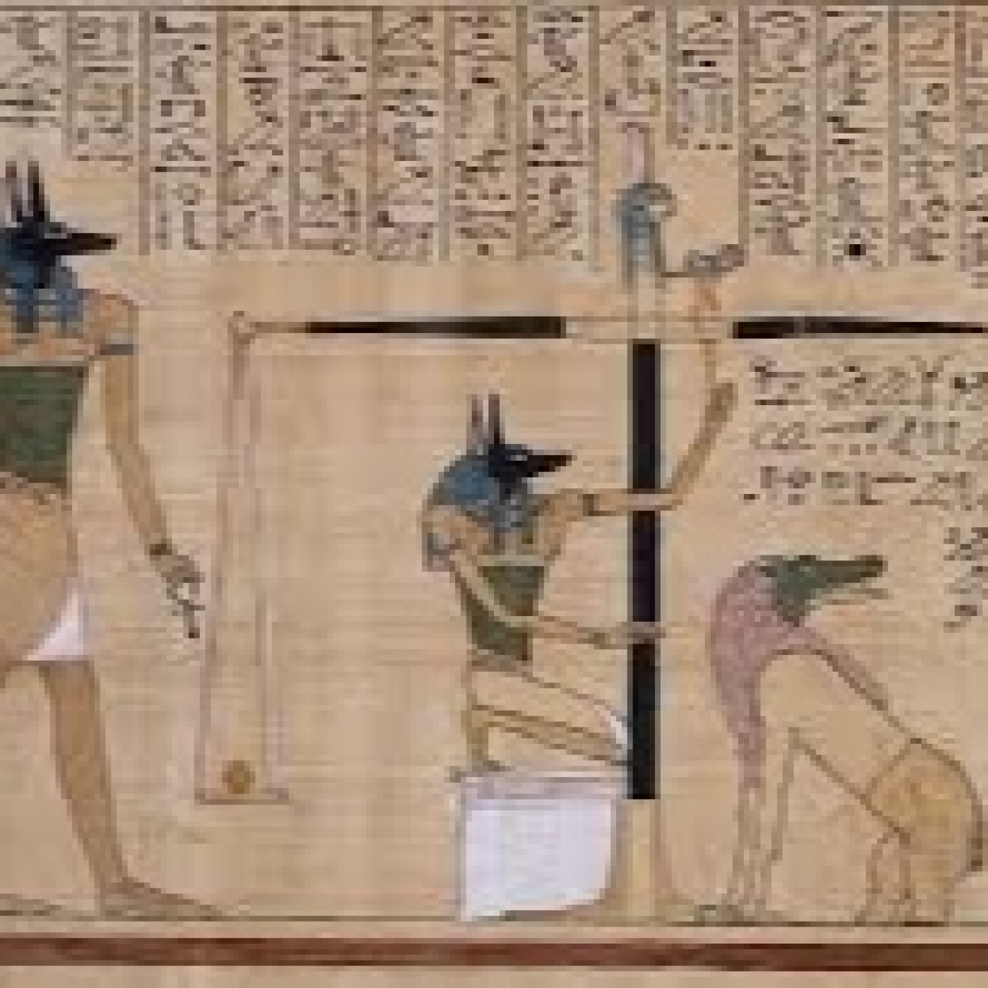 Luces en la oscuridad