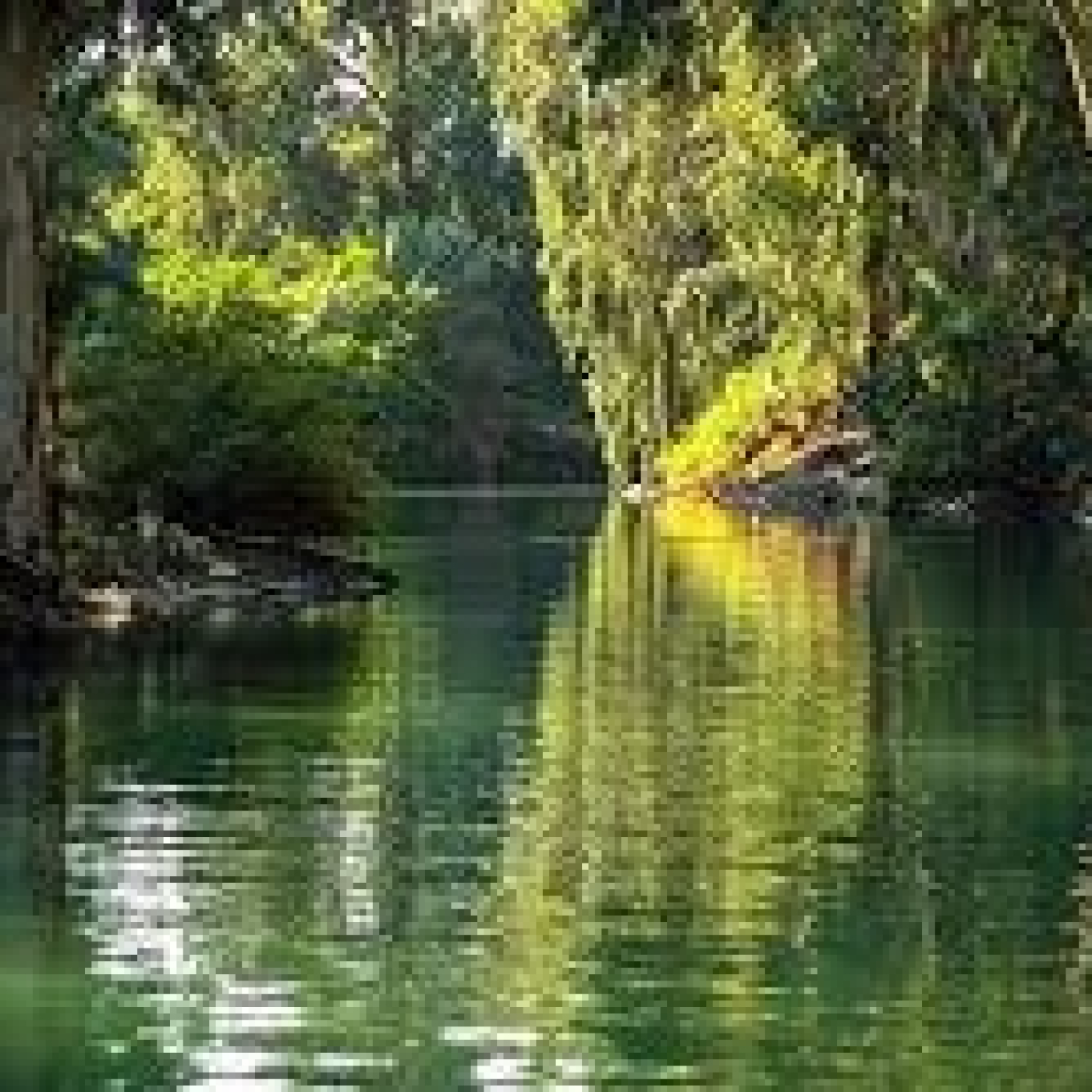 Es la obediencia o lo que yo creo