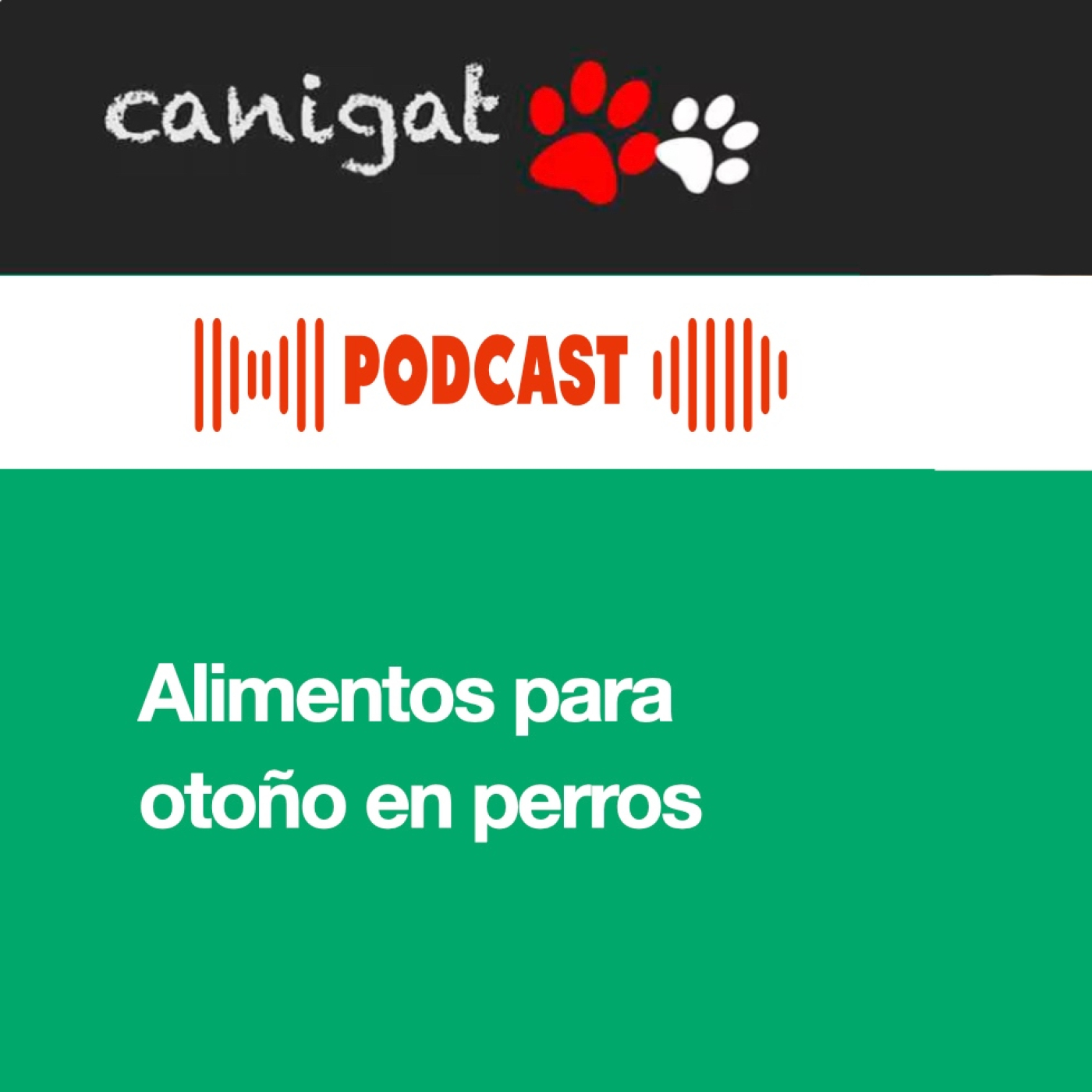 Consejos veterinarios de perros y gatos by canigat