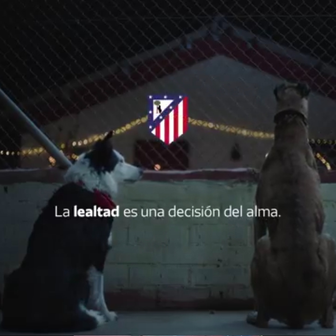 Maneras de Vivir